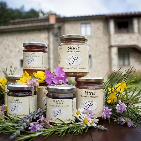 Podere Il Corniolino Poppi